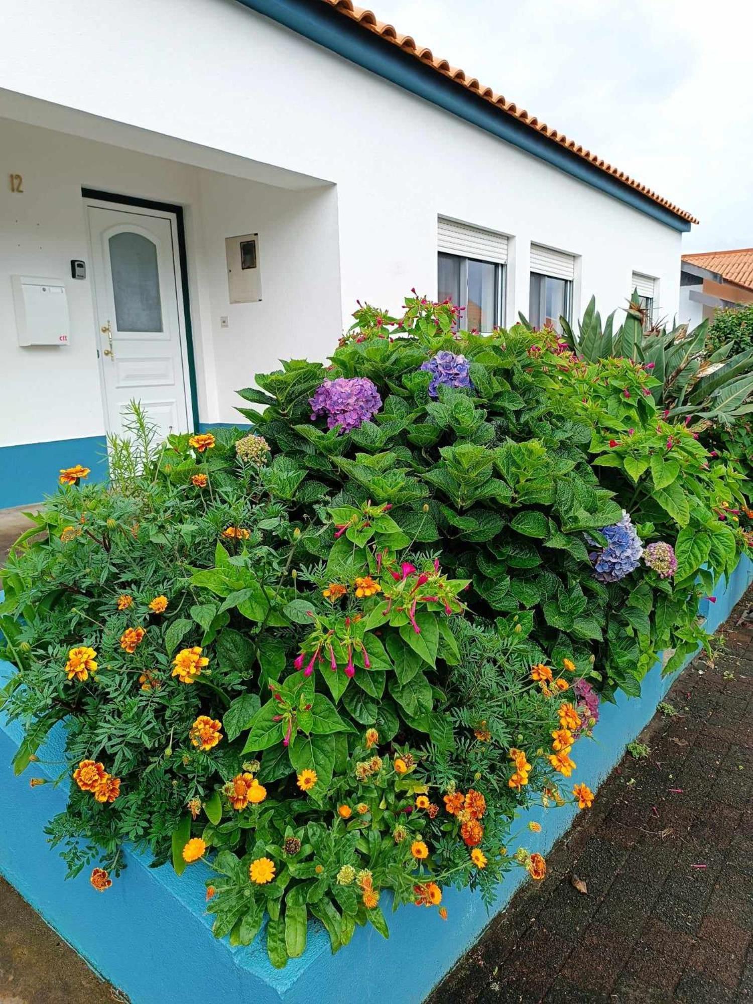 Apartamento Da Matilde Santa Cruz das Flores Zewnętrze zdjęcie